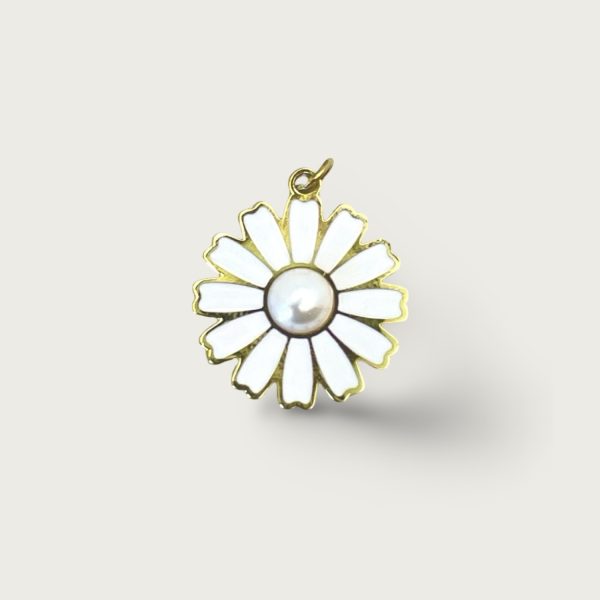 DAISY 2CM