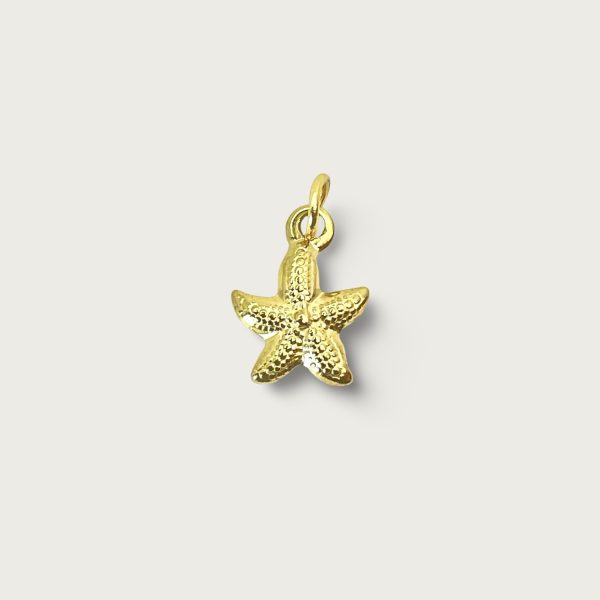 STARFISH 1CM