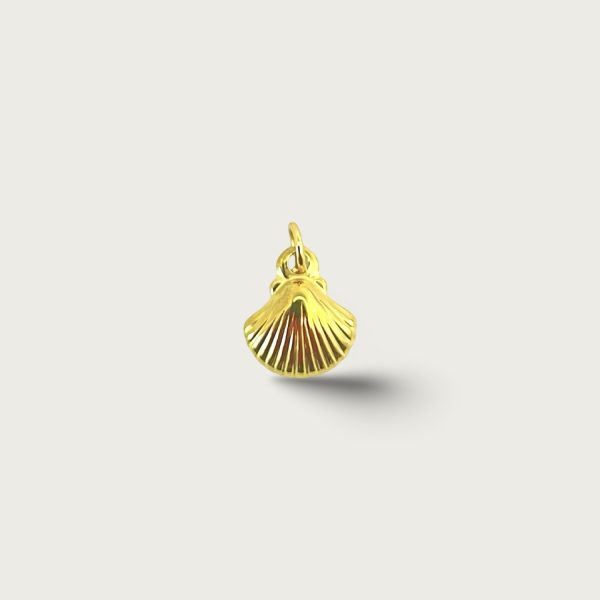 SHELL 1CM