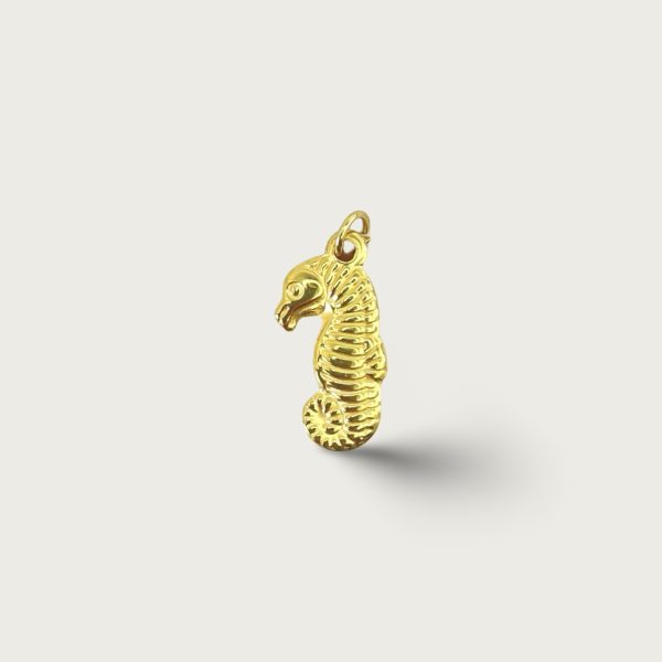 SEAHORSE 2CM